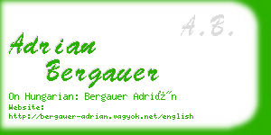 adrian bergauer business card
